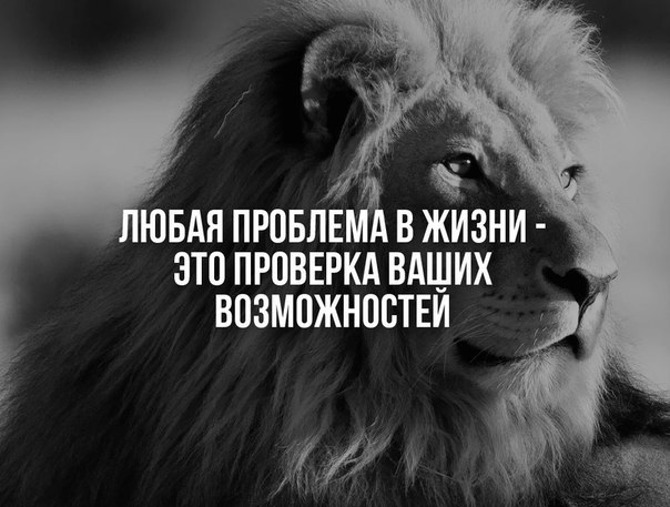 ��������������� &copy; - 28 ������ 2015 � 09:25