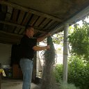 ���� �������, �����, 46 ��� - ��������� 29 ��� 2015 � ������ ������� ��