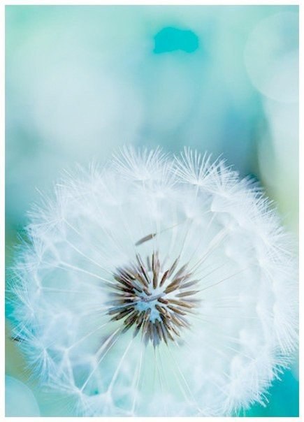   ,          . ... - 3