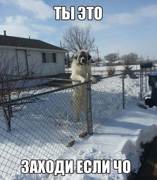    :-) - 28  2015  18:40