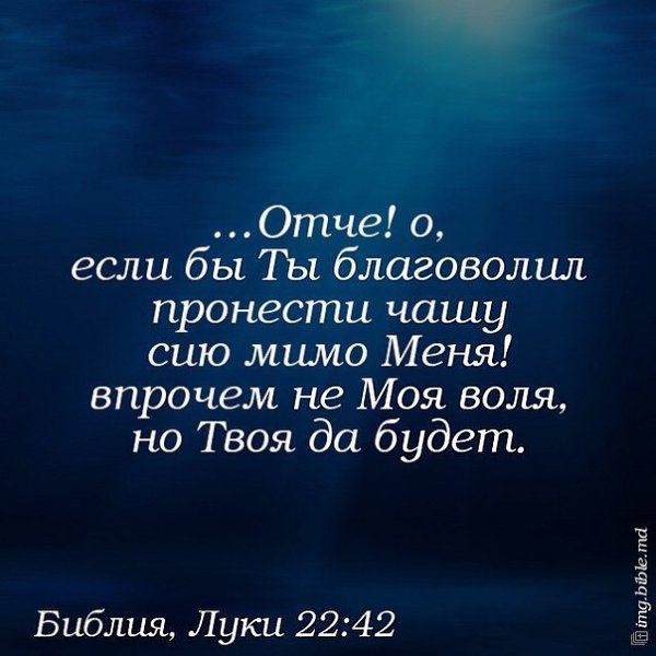 � ����� ����... - 28 ��� 2015 � 22:29