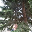 ���� �����, ���� - ��������� 3 ���� 2015 � ������ ���� ����������