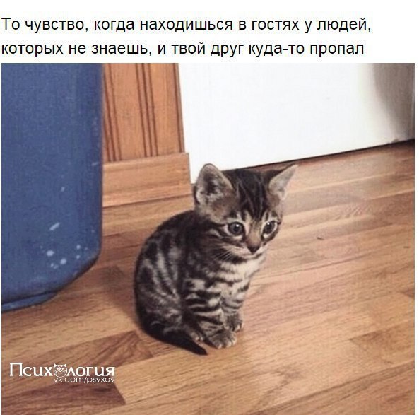 ,  