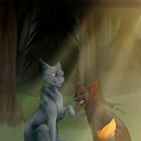 ���� ������, �����-���������, 23 ���� - ��������� 15 ���� 2015