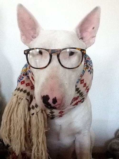 Напишите в комент вашу любимую цитату ?