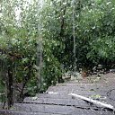  Nokas, , 44  -  18  2015    18  2015 .. 