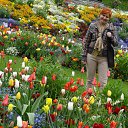 ���� ������, �����, 57 ��� - ��������� 27 ���� 2015 � ������ ����������