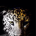 ���� �������, ���������, 34 ���� - ��������� 16 ������� 2015 � ������ ���� ����������