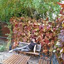  Natalie, , 49  -  31  2015    