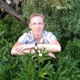 ��������, ������