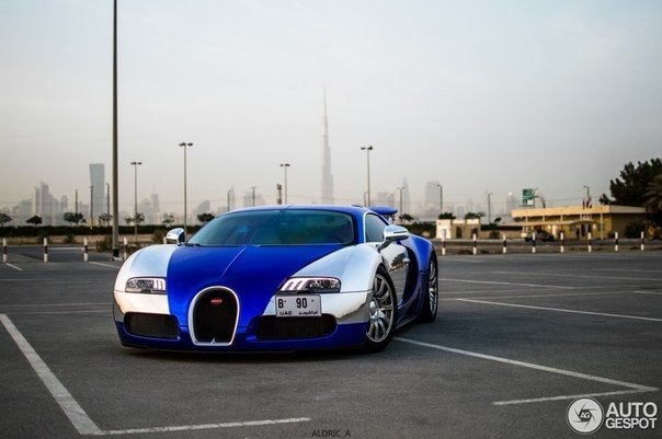 Bugatti Veyron, 200511.   W16/4 Quad-Turbo (7993 )  1 001 ..  ... - 4