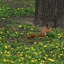 ���� �������, ���������� - ��������� 16 ������� 2015 � ������ ������ ��������