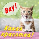 ���� ����, �������, 65 ��� - ��������� 18 ������� 2015 � ������ �������� ��������