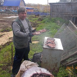 ���� ������, �����, 62 ���� - ��������� 24 �������� 2015