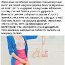 ���� ���, ����, 36 ��� - ��������� 9 ��� 2015 � ������ ������ ��������