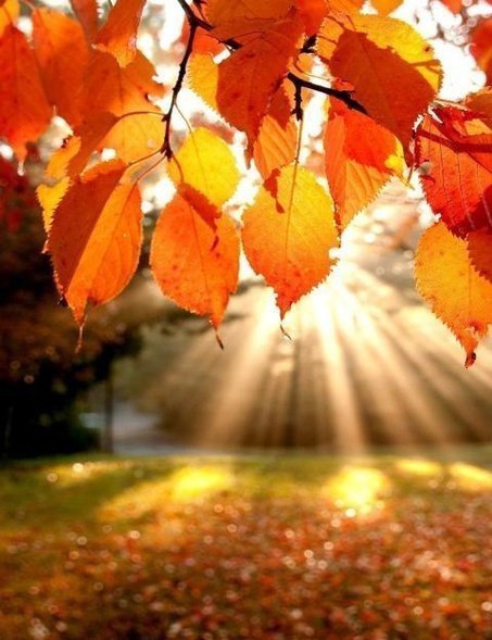   |  |  - 30  2015  22:40 - 5