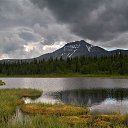  ,  -  13  2015     -    ( )   ( )