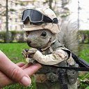 ���� ������, ��������, 48 ��� - ��������� 27 ���� 2015 � ������ ���� ����������