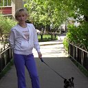 ���� �����, ���������, 49 ��� - ��������� 9 ��� 2015 � ������ ������ ��������