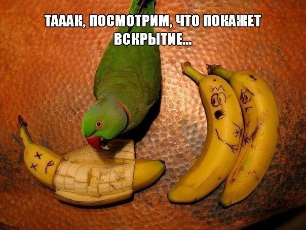    - 1  2015  09:16