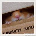 ���� ������, ������, 31 ��� - ��������� 28 ���� 2015 � ������ ���� ����������