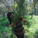 ���� &bull;~&deg;&deg; ������ &deg;&deg;~&bull;, �������� - ��������� 27 ���� 2015 � ������ ���� ����������