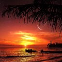 ���� ����, �������, 43 ���� - ��������� 8 ���� 2015 � ������ ������ ��������