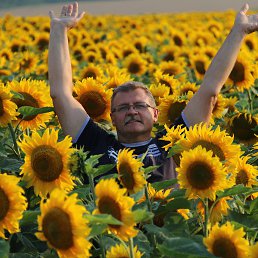 ���-�� ����� ��������� � ������ �������.����,2015�.