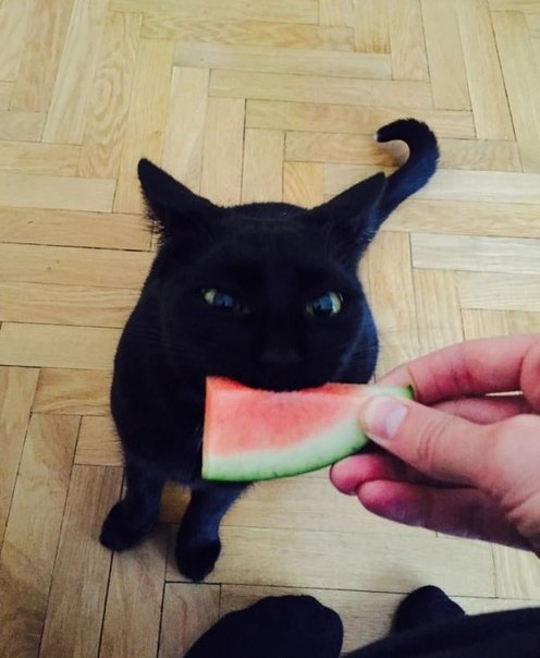 ����� �������� ����� �������...