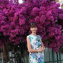 ���� �������, ��������� - ��������� 10 �������� 2015