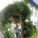 ���� �����, �����-���������, 40 ��� - ��������� 11 �������� 2015 � ������ ���� ����������