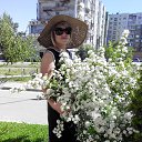 ���� ���������, ����, 44 ���� - ��������� 25 ��� 2015 � ������ ���� ����������