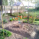 ���� �����, ������, 53 ���� - ��������� 15 ��� 2015 � ������ ���� ����������