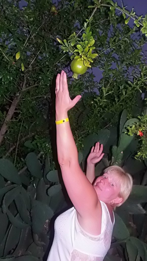 �������� �������� - 11 ��� 2015 � 15:25 - 3