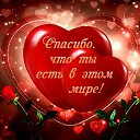 ���� ����, �����, 41 ��� - ��������� 15 �������� 2015 � ������ ������ ��������