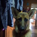 ���� ���������, �����-���������, 54 ���� - ��������� 21 ���� 2015 � ������ �����ʻ