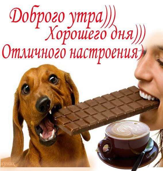 С добрым утром! С новым чудом! С ясным небом! С ярким светом! С новой краской! С лучшей сказкой! С ...