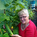 ���� �����, �����-���������, 77 ��� - ��������� 23 ������� 2015 � ������ ���� ����