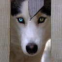 ���� ����, ���������� - ��������� 12 ��� 2015 � ������ ������ ��������