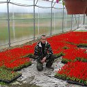 ���� ������, ������, 47 ��� - ��������� 25 ���� 2015 � ������ ���� ����������