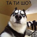 ���� ����, �����, 60 ��� - ��������� 17 ������� 2015 � ������ ������ ��������