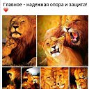 ���� ������, ��������, 53 ���� - ��������� 22 ���� 2015 � ������ ������ ��������