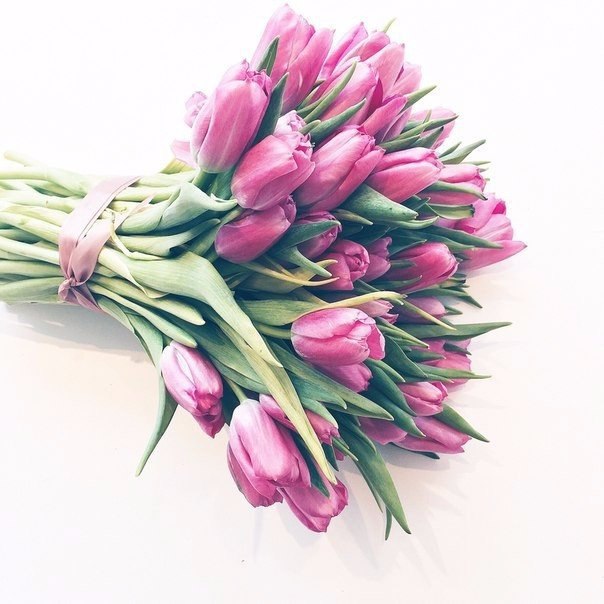 ���� | ����� - 24 ���� 2015 � 03:20 - 6