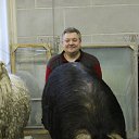 � ��� �� ��� �����? �� ������� ������-���������, ������� 2015�