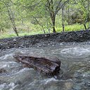 � ��������� ����� �� ������� ���� ����������