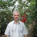 ���� ������, �������, 53 ���� - ��������� 19 �������� 2015 � ������ ���� ����������