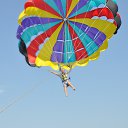 ���� ������, �����-���������, 43 ���� - ��������� 8 ������� 2015 � ������ ���� ����������