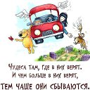 ���� ������, �����������, 64 ���� - ��������� 9 ������� 2015 � ������ ������ ��������