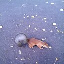 ���� ���, ������������, 52 ���� - ��������� 19 ������� 2015 � ������ ���� ����������