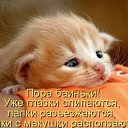 ���� ����, ��������� - ��������� 6 ���� 2015 � ������ ������ ��������